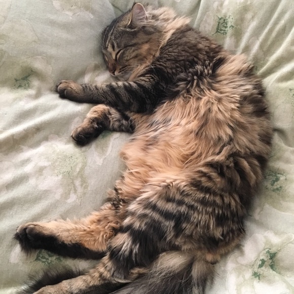 Meet your Posher, Anne - Picture 2 of 2